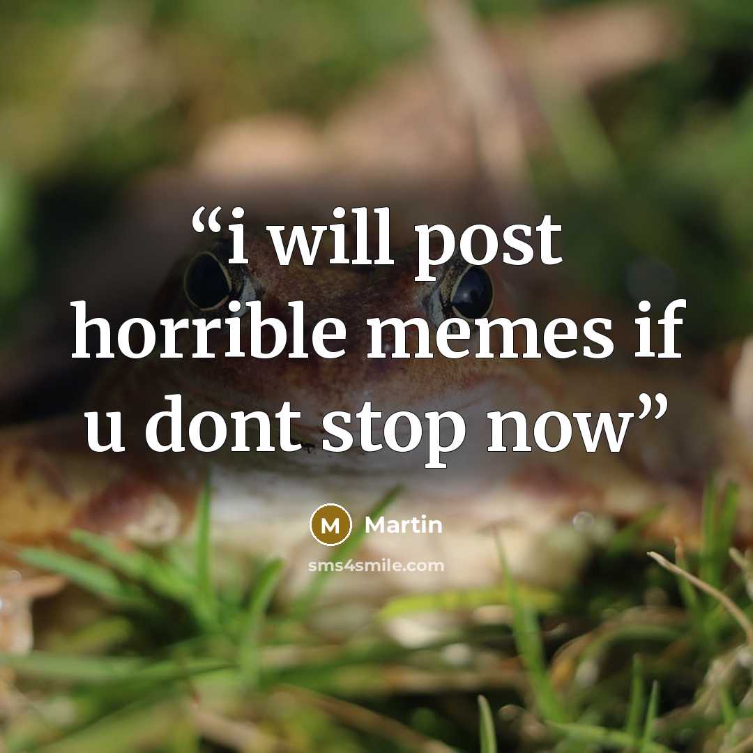 “i will post horrible memes if u dont stop now” quote by martin