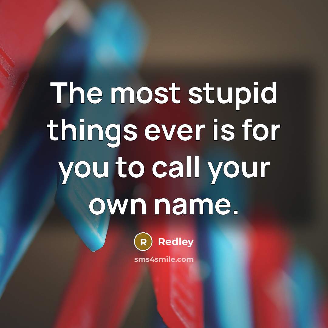 “The most stupid things ever is for you to call…” quote by Redley