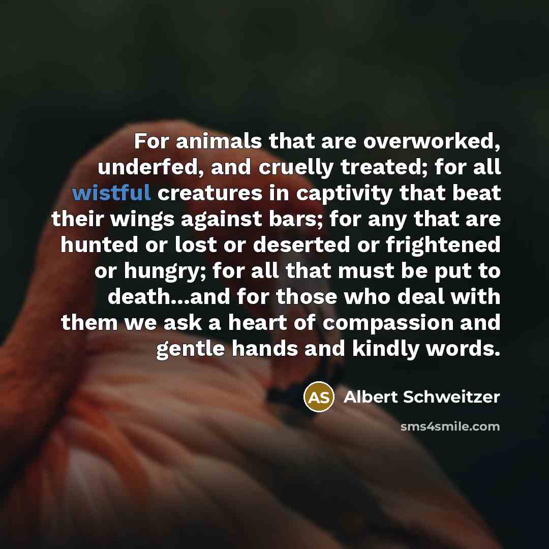 “For animals that are overworked, underfed, and cruelly treated; for…” quote by Albert Schweitzer