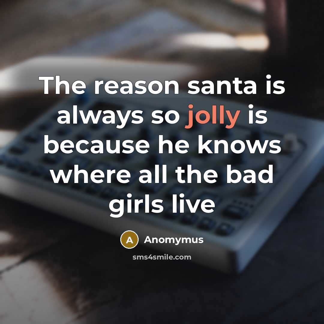 “The reason santa is always so jolly is because he knows where all the bad girls live” quote by Anomymus