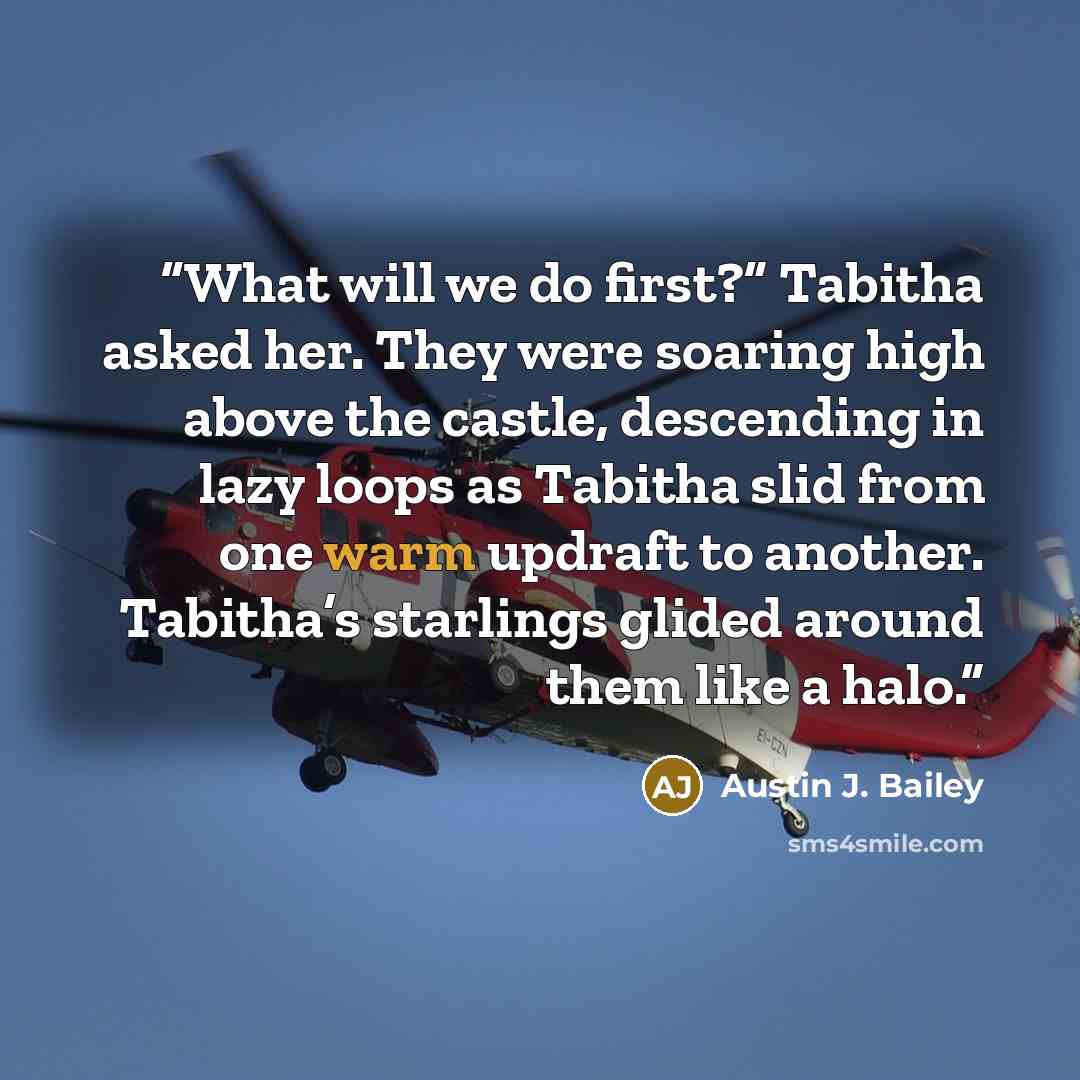 “What will we do first?” Tabitha asked her. They were soaring high above the castle, descending in lazy loops as Tabitha slid from one warm updraft to another. Tabitha’s starlings glided around them like a halo.” quote by Austin J. Bailey