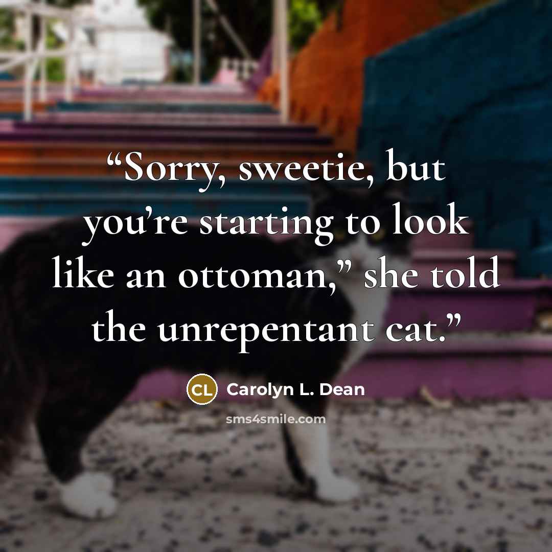 “Sorry, sweetie, but you’re starting to look like an ottoman,” she told the unrepentant cat.” quote by Carolyn L. Dean