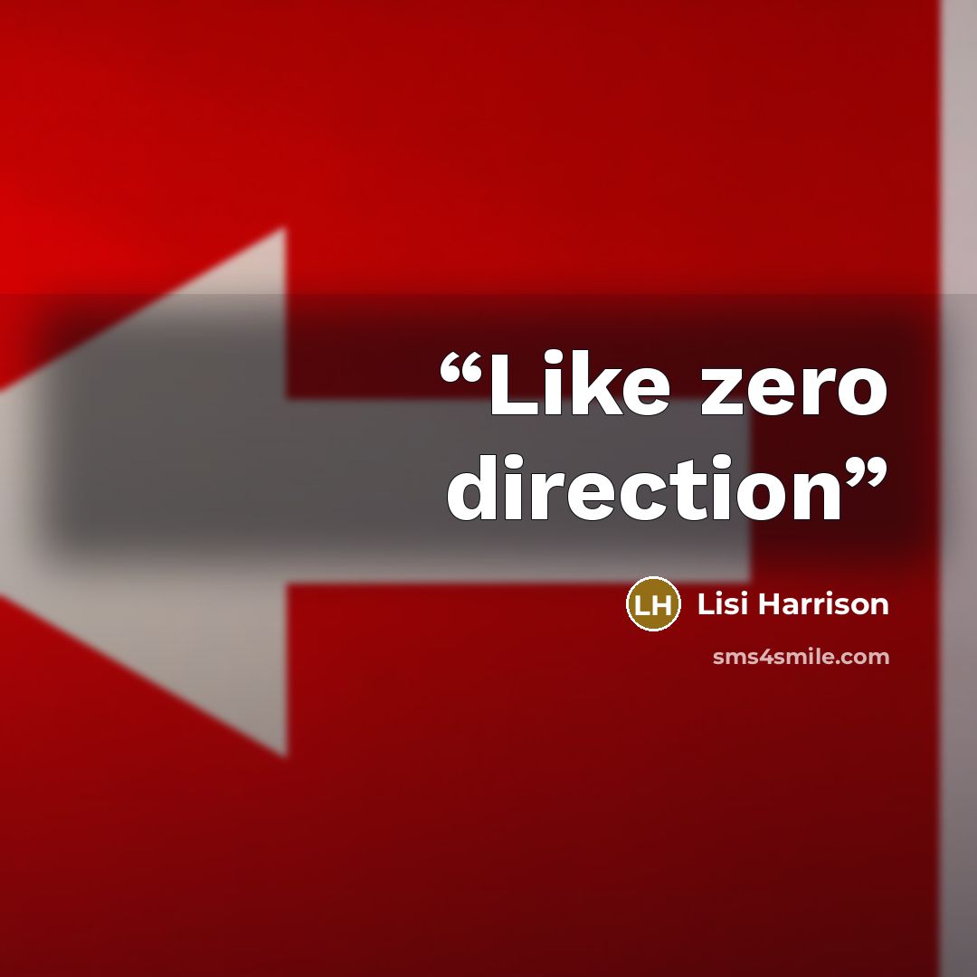 “Like zero direction” quote by Lisi Harrison