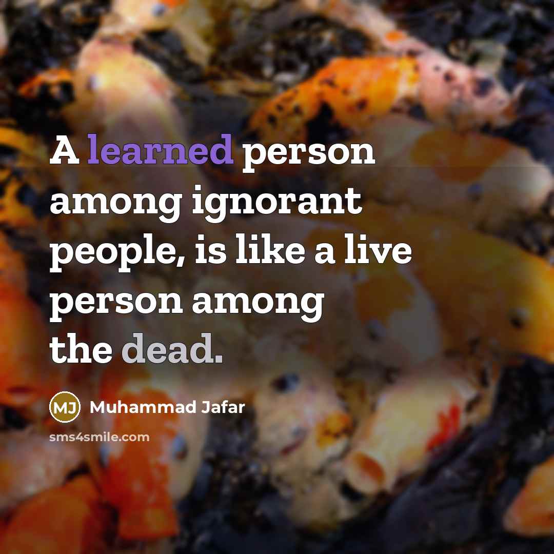 “A learned person among ignorant people, is like a live person among the dead.” quote by Muhammad Jafar