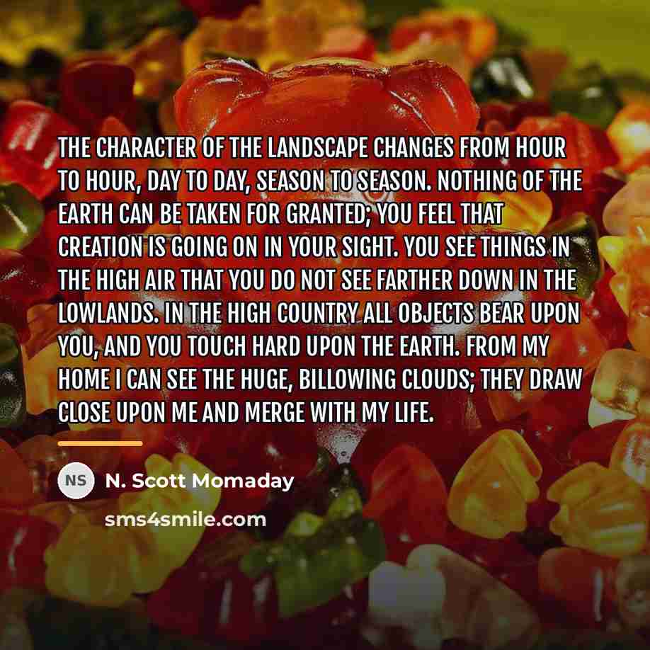 “The character of the landscape changes from hour to hour,…” quote by N. Scott Momaday