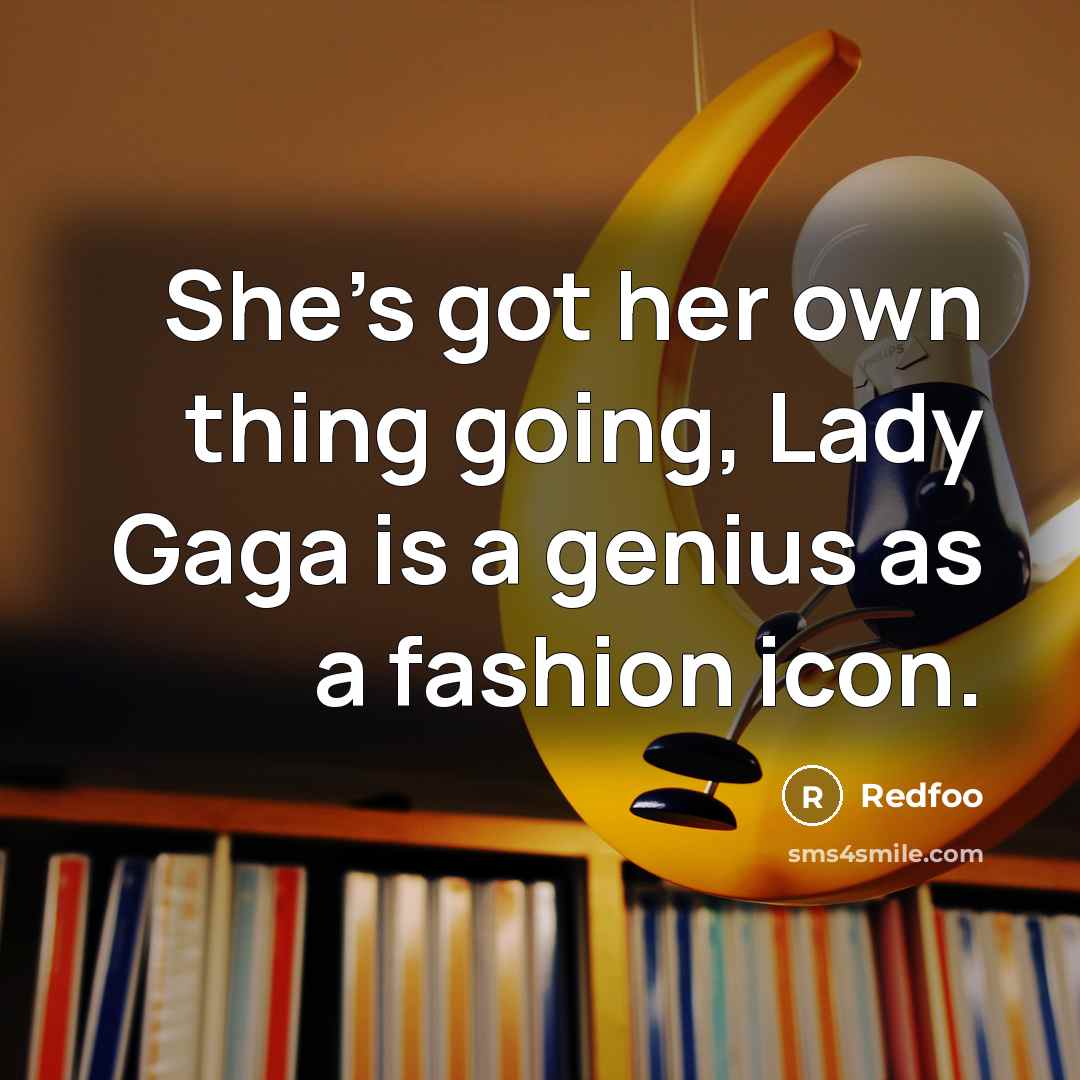 “She's got her own thing going, Lady Gaga is a…” quote by Redfoo