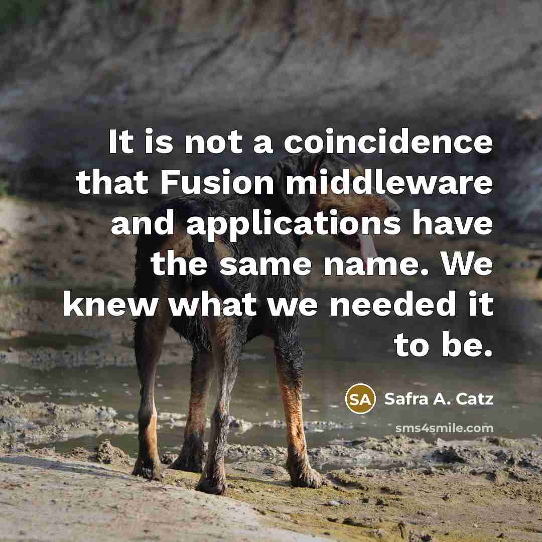 “It is not a coincidence that Fusion middleware and applications…” quote by Safra A. Catz