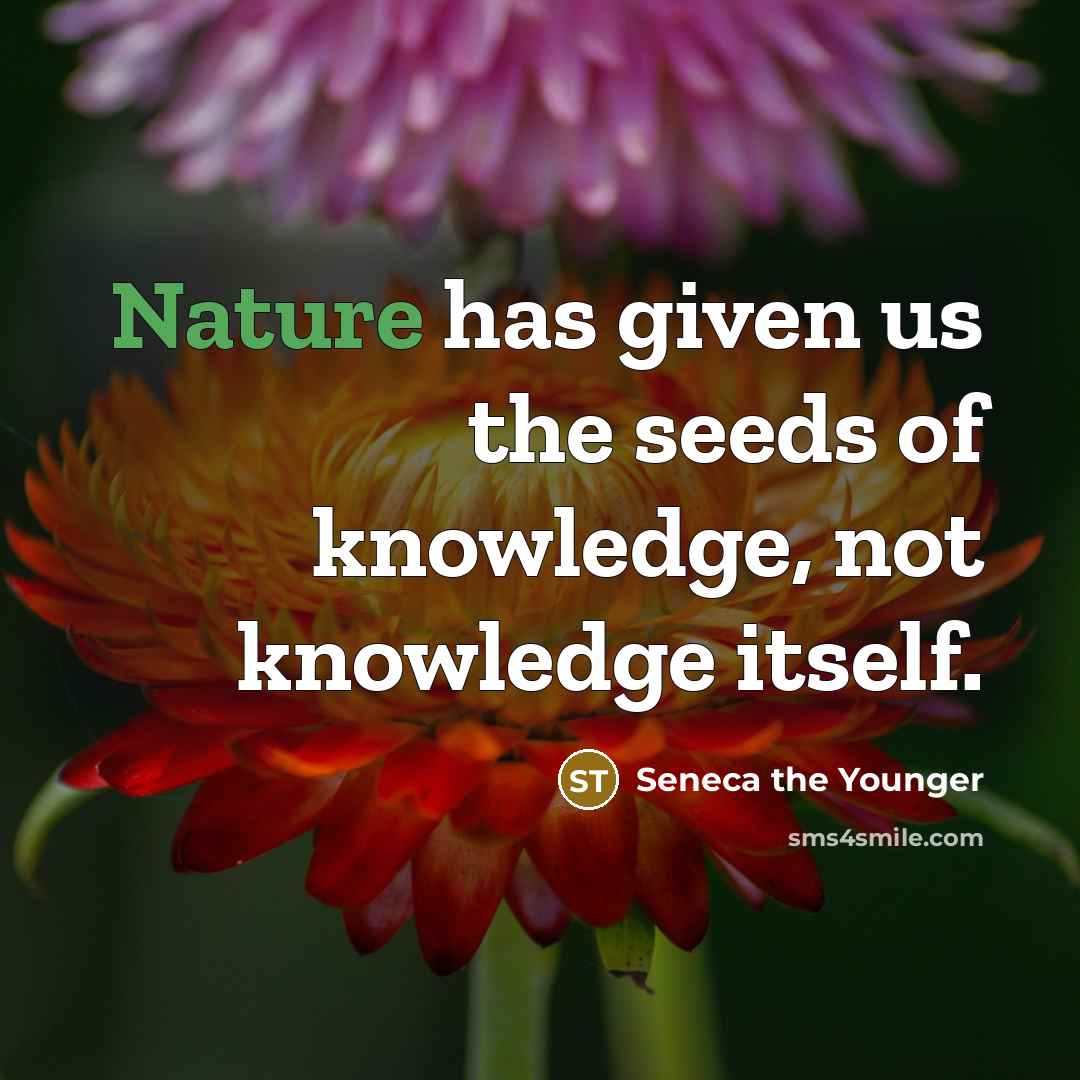 “Nature has given us the seeds of knowledge, not knowledge…” quote by Seneca the Younger