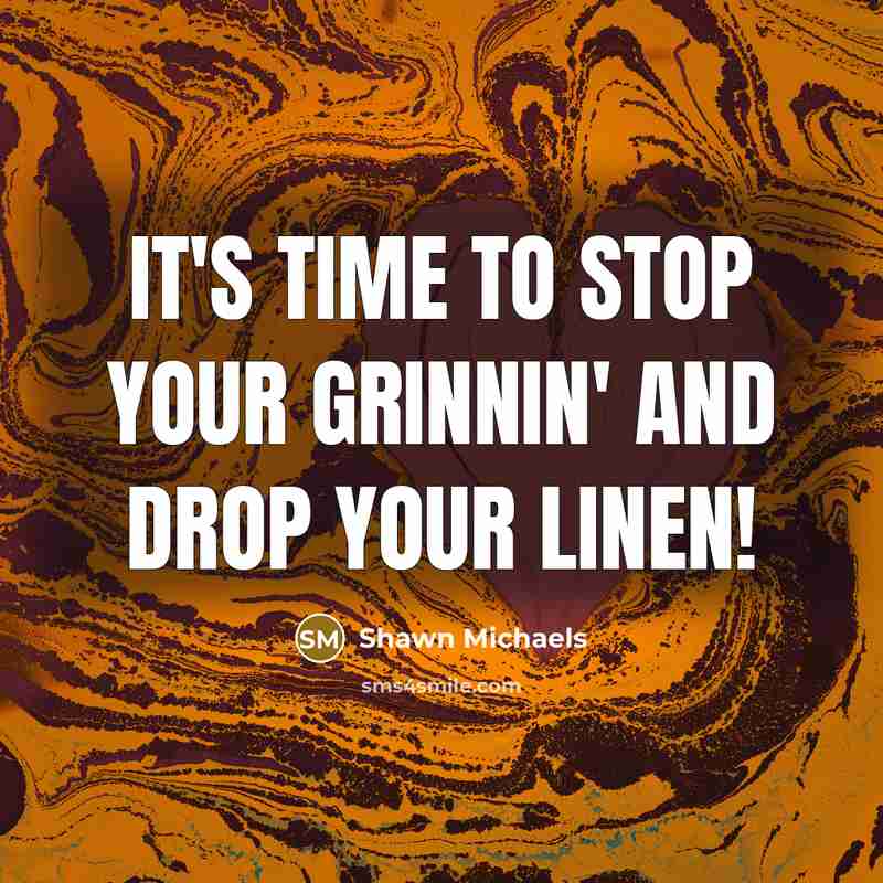 “It's time to stop your grinnin' and drop your linen!…” quote by Shawn Michaels