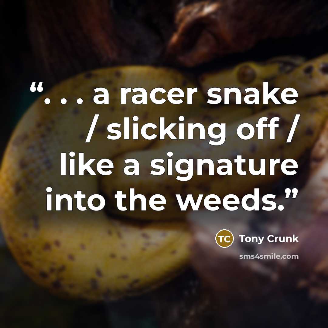 “. . . a racer snake / slicking off / like a signature into the weeds.” quote by Tony Crunk
