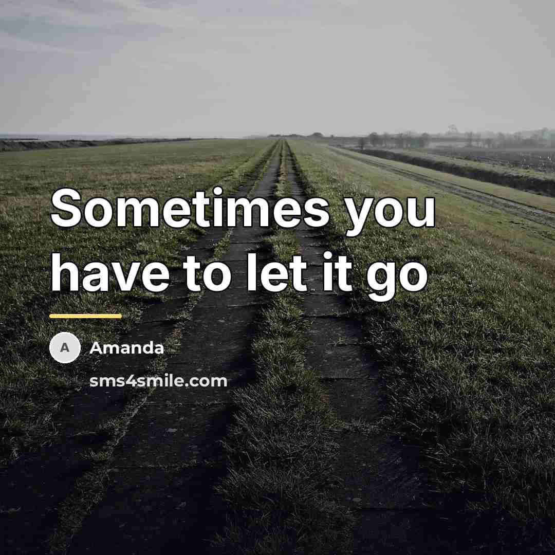 “Sometimes you have to let it go…” quote by Amanda