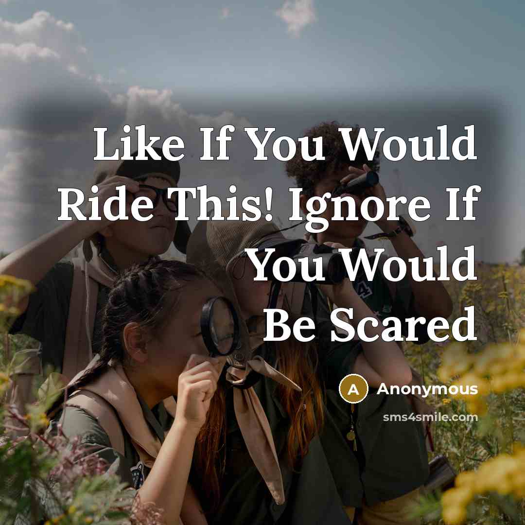 “Like If You Would Ride This! Ignore If You Would…” quote by Anonymous