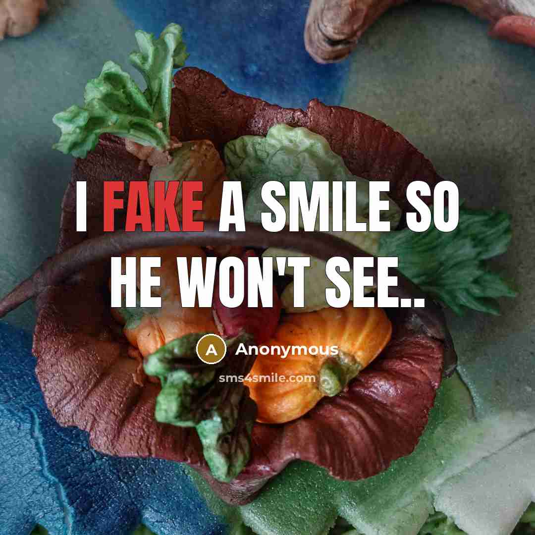 “I fake a smile so he won't see..…” quote by Anonymous