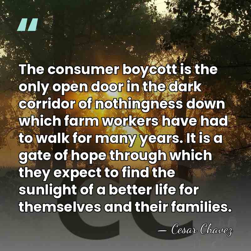 The consumer boycott is the only open door in the dark corridor&hellip; - Cesar Chavez
