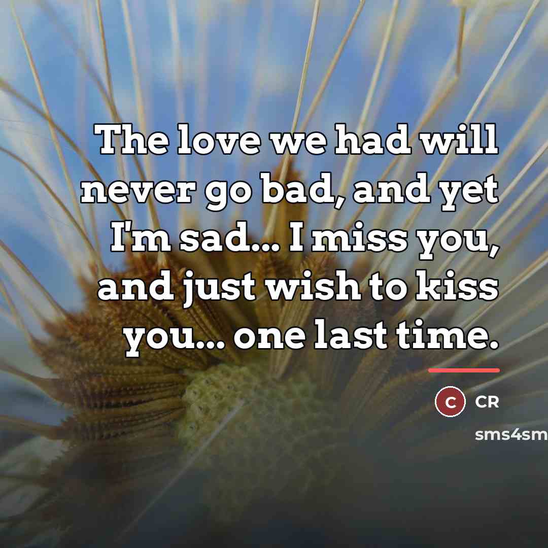 “The love we had will never go bad, and yet…” quote by CR