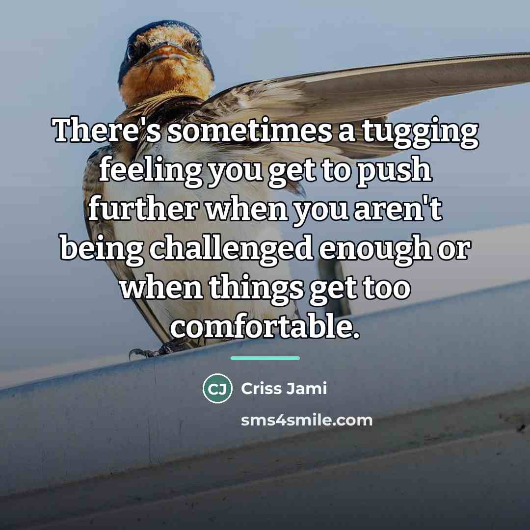 “There's sometimes a tugging feeling you get to push further…” quote by Criss Jami