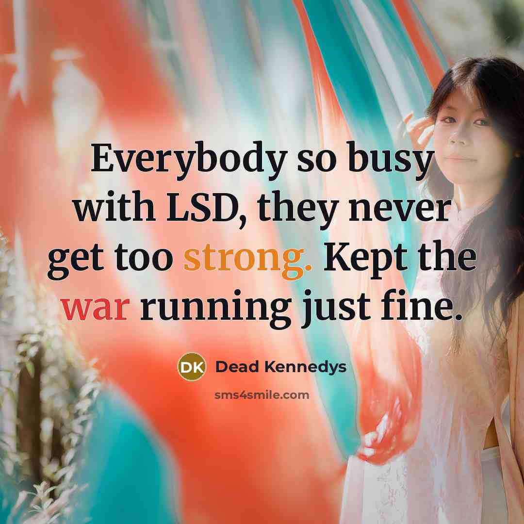 “Everybody so busy with LSD, they never get too strong. Kept the war running just fine.” quote by Dead Kennedys