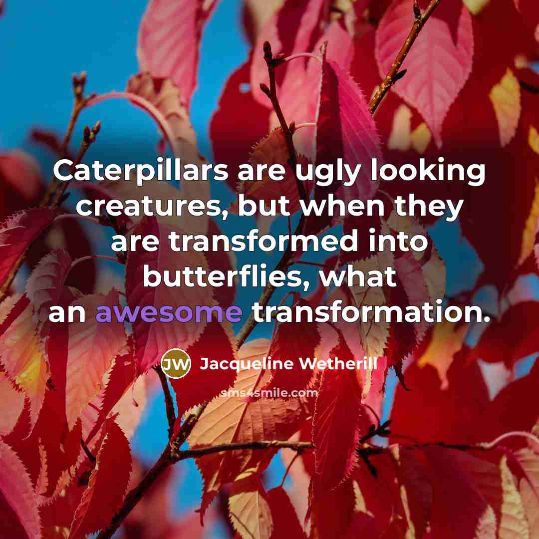 “Caterpillars are ugly looking creatures, but when they are transformed into butterflies, what an awesome transformation.” quote by Jacqueline Wetherill
