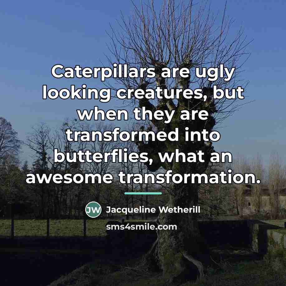 “Caterpillars are ugly looking creatures, but when they are transformed…” quote by Jacqueline Wetherill