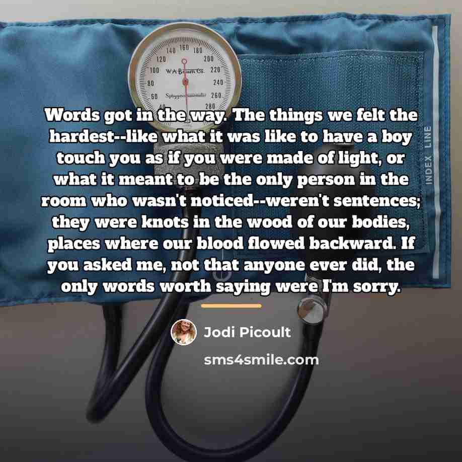 “Words got in the way. The things we felt the…” quote by Jodi Picoult