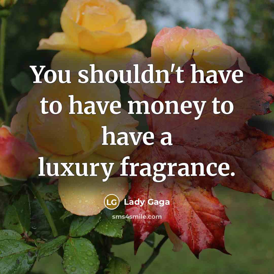 “You shouldn't have to have money to have a luxury…” quote by Lady Gaga