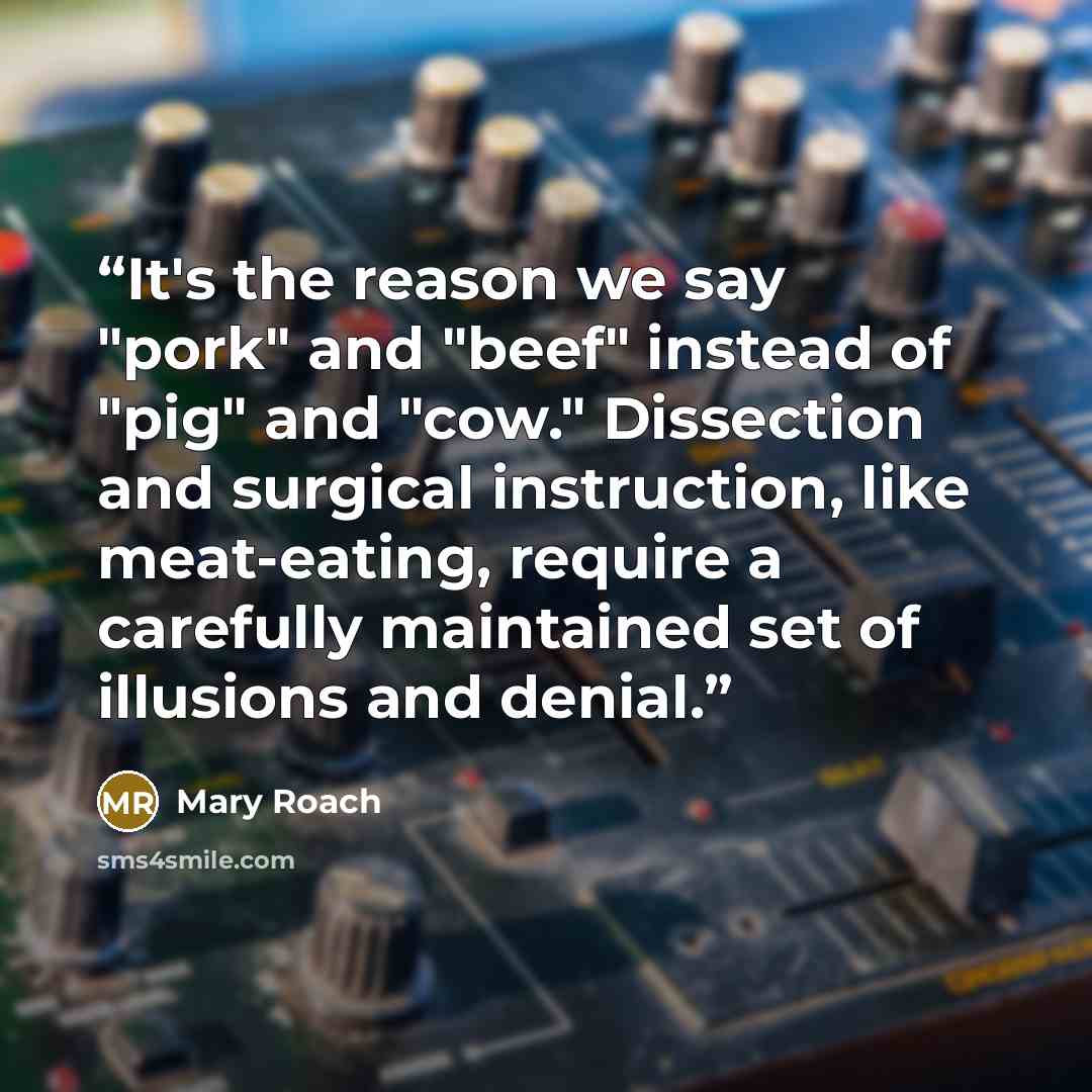 “It's the reason we say "pork" and "beef" instead of "pig" and "cow." Dissection and surgical instruction, like meat-eating, require a carefully maintained set of illusions and denial.” quote by Mary Roach