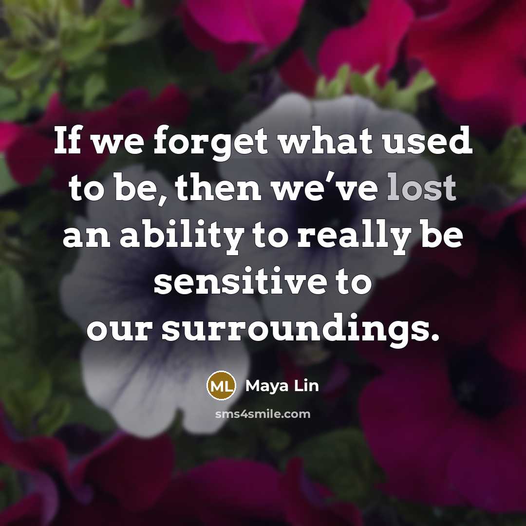 “If we forget what used to be, then we’ve lost…” quote by Maya Lin