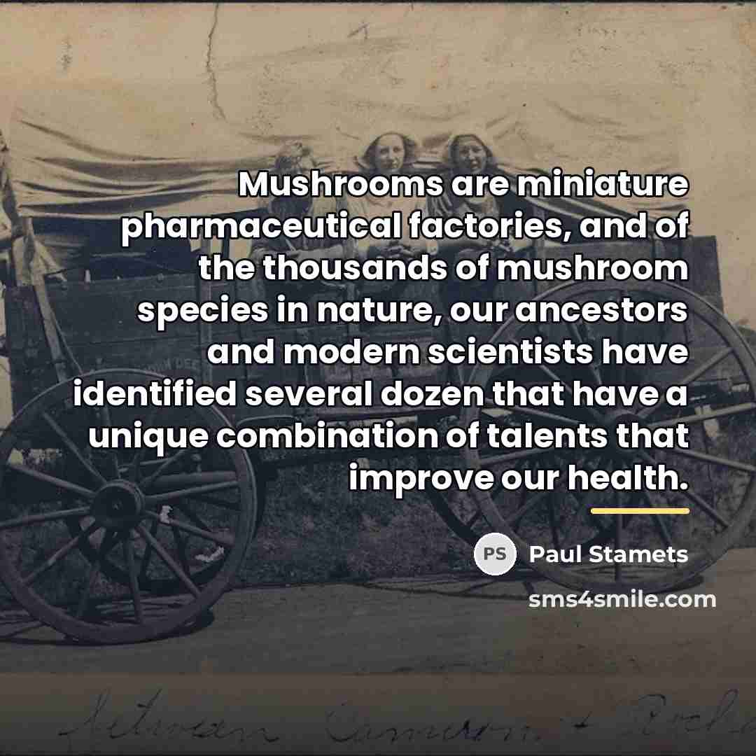 “Mushrooms are miniature pharmaceutical factories, and of the thousands of…” quote by Paul Stamets