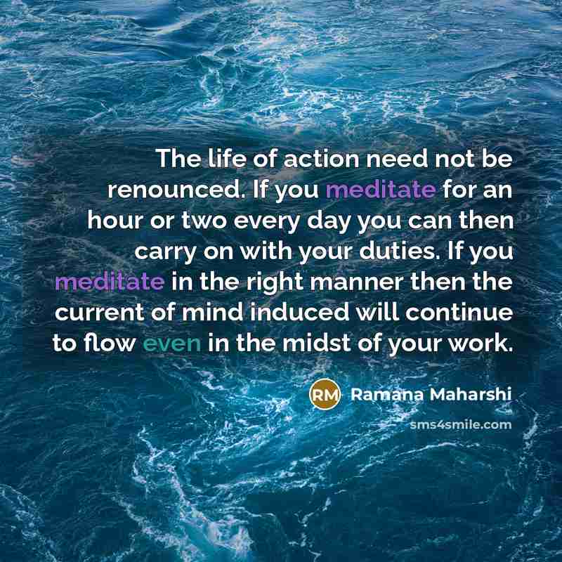 “The life of action need not be renounced. If you…” quote by Ramana Maharshi