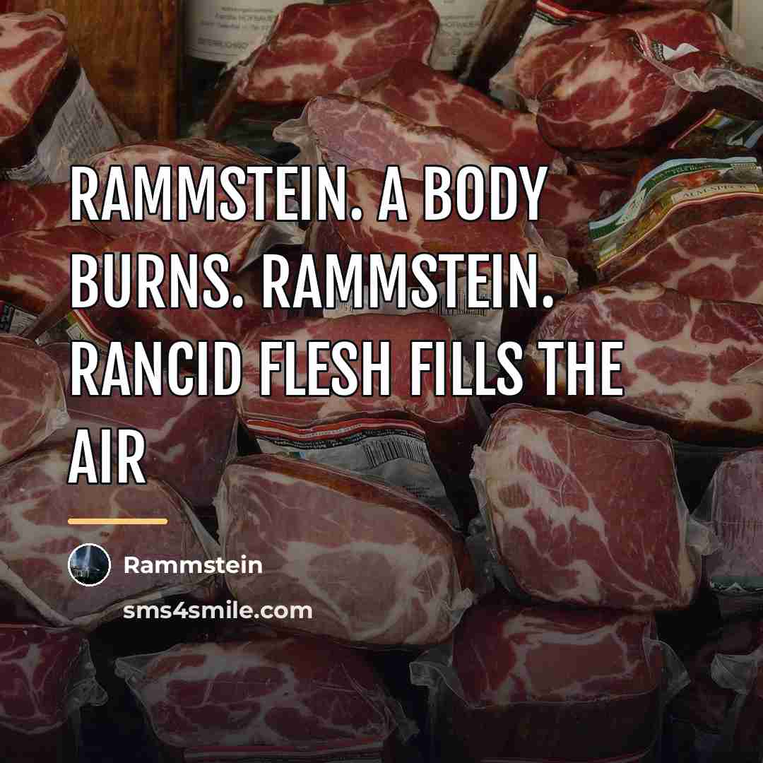 “Rammstein. A body burns. Rammstein. Rancid flesh fills the air…” quote by Rammstein