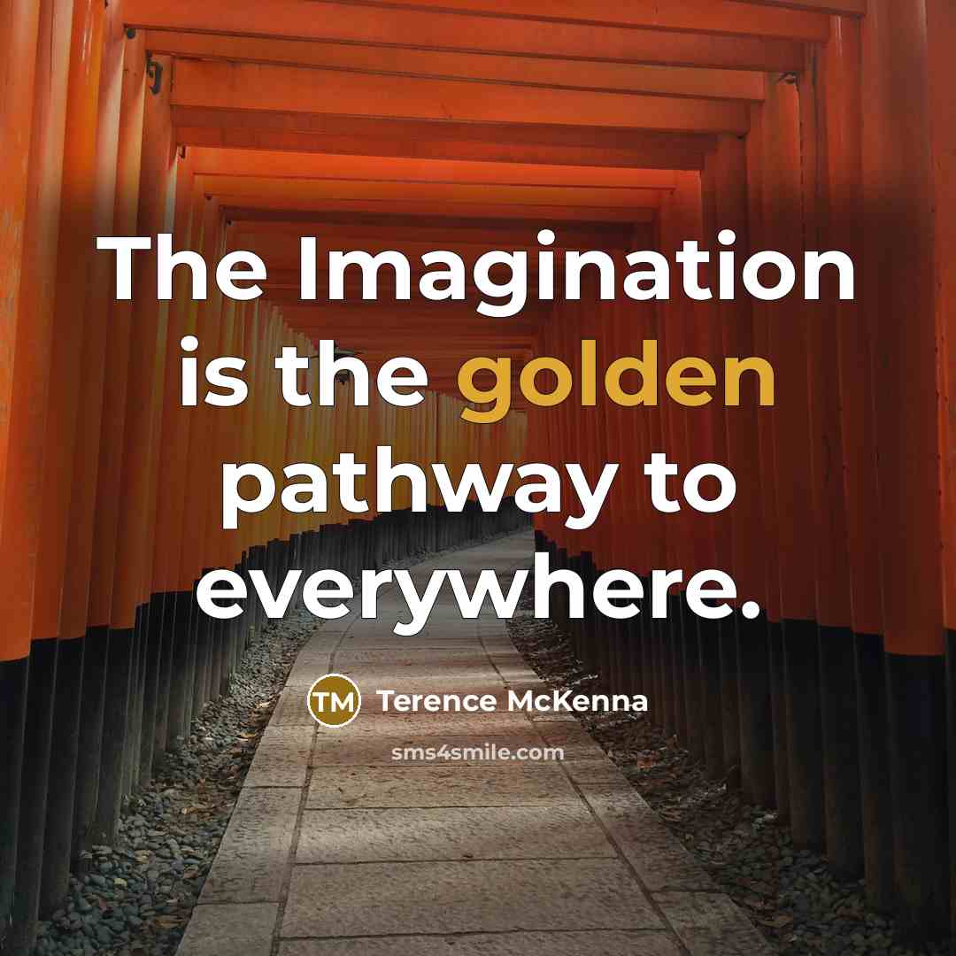 “The Imagination is the golden pathway to everywhere.…” quote by Terence McKenna