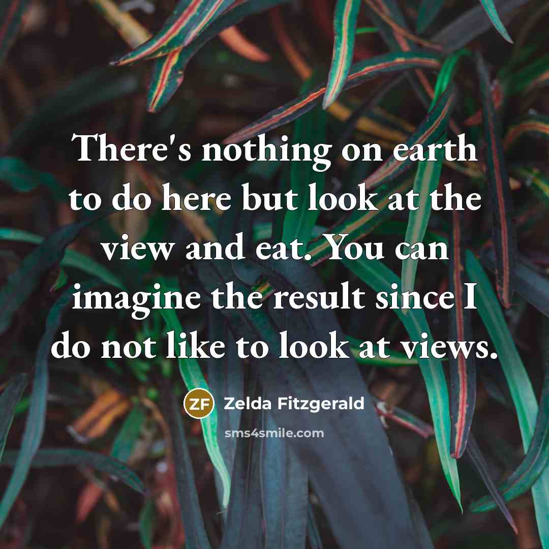 “There's nothing on earth to do here but look at…” quote by Zelda Fitzgerald