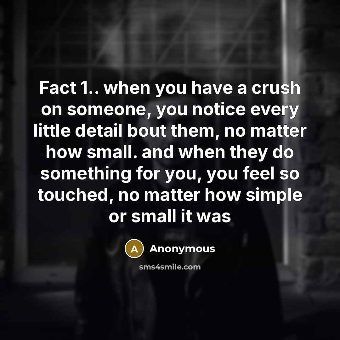 “Fact 1.. when you have a crush on someone, you notice every little detail bout them, no matter how small. and when they do something for you, you feel so touched, no matter how simple or small it was” quote by Anonymous