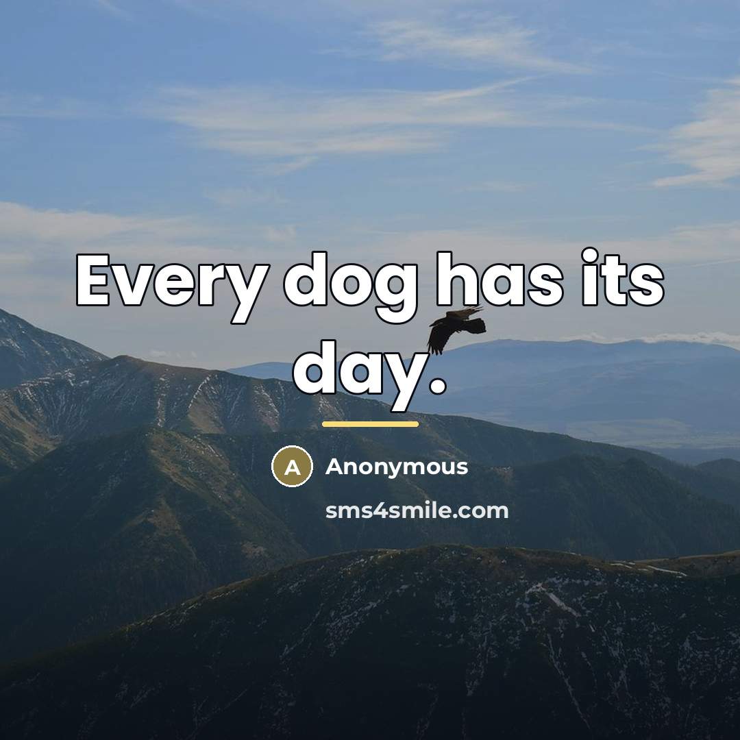 “Every dog has its day.…” quote by Anonymous