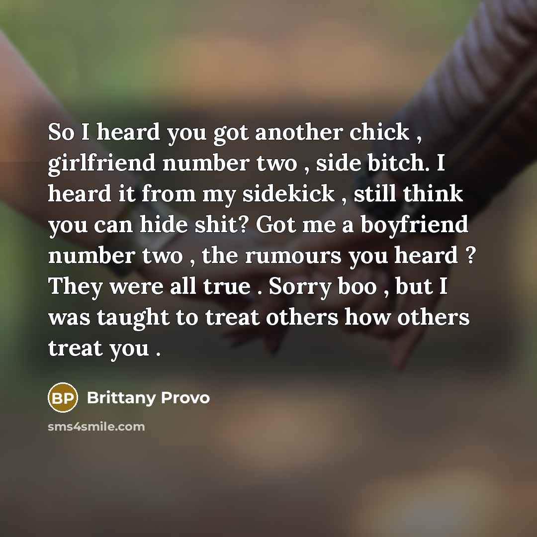 “So I heard you got another chick , girlfriend number…” quote by Brittany Provo