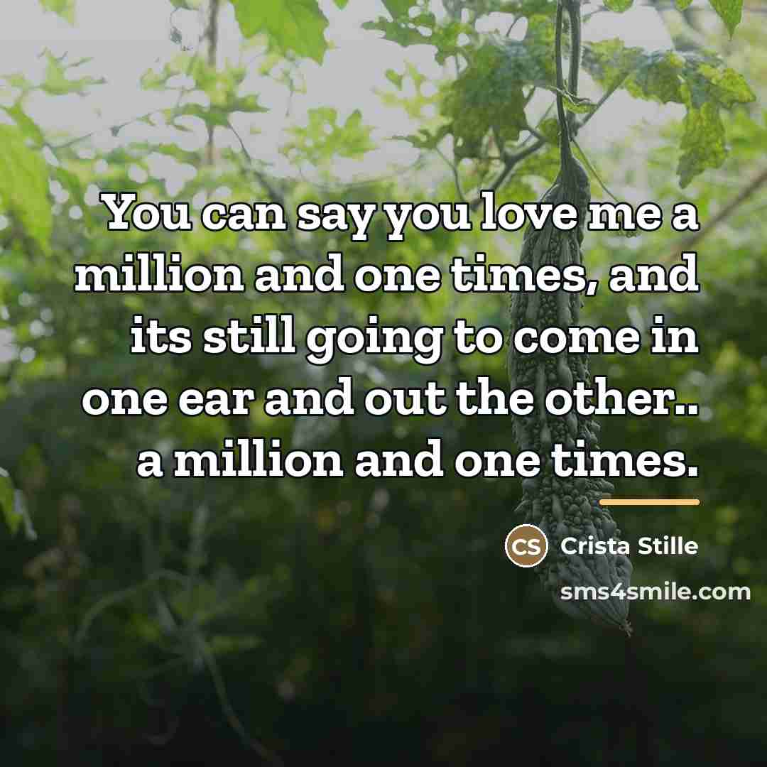 “You can say you love me a million and one…” quote by Crista Stille