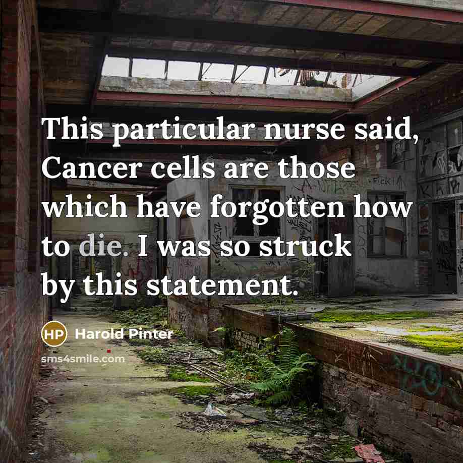 “This particular nurse said, Cancer cells are those which have…” quote by Harold Pinter