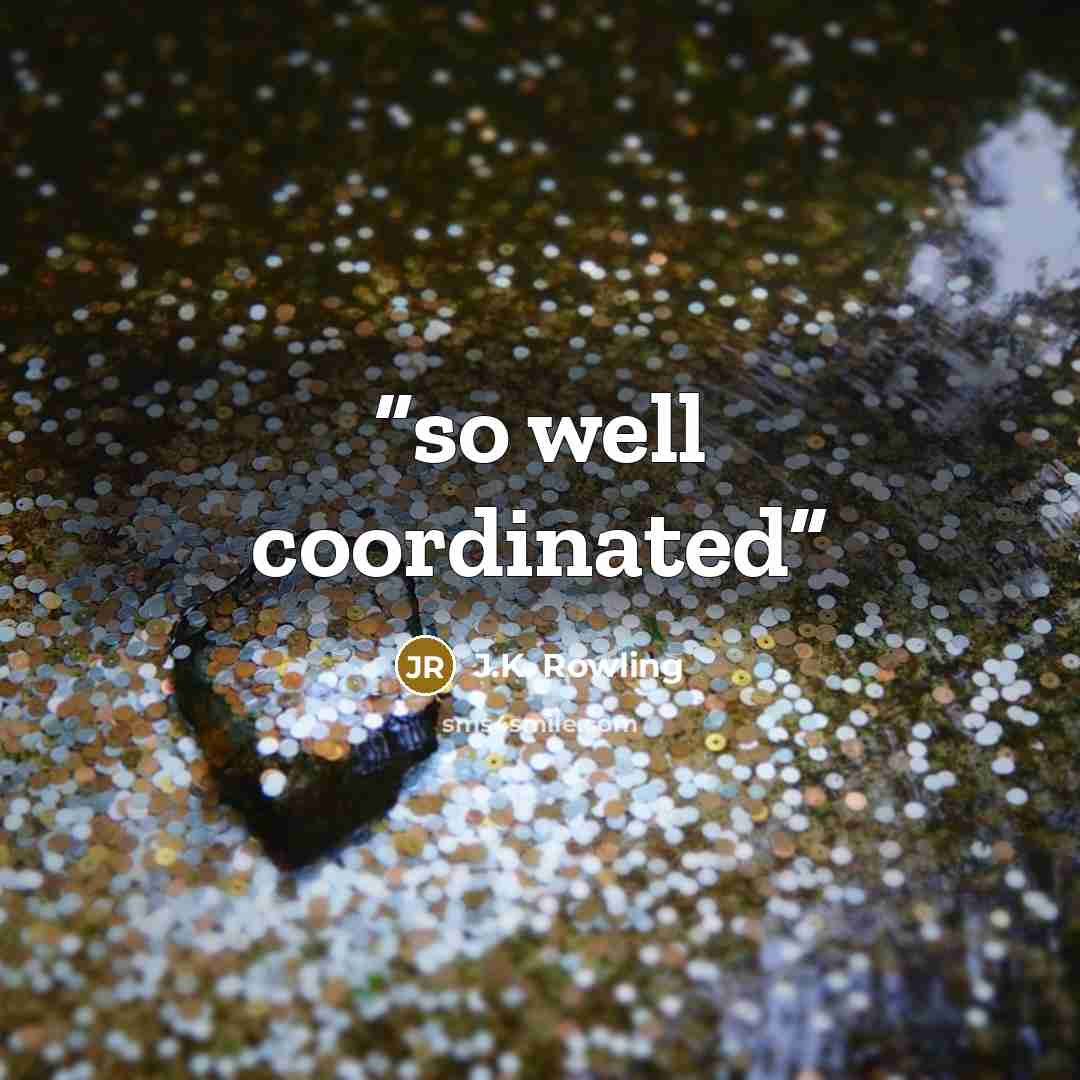 “so well coordinated” quote by J.K. Rowling