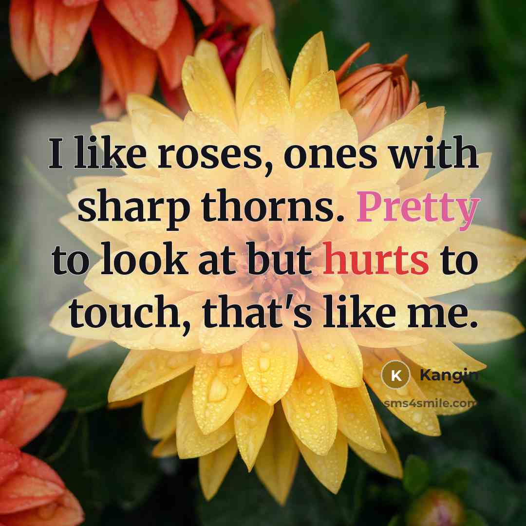 “I like roses, ones with sharp thorns. Pretty to look at but hurts to touch, that's like me.” quote by Kangin