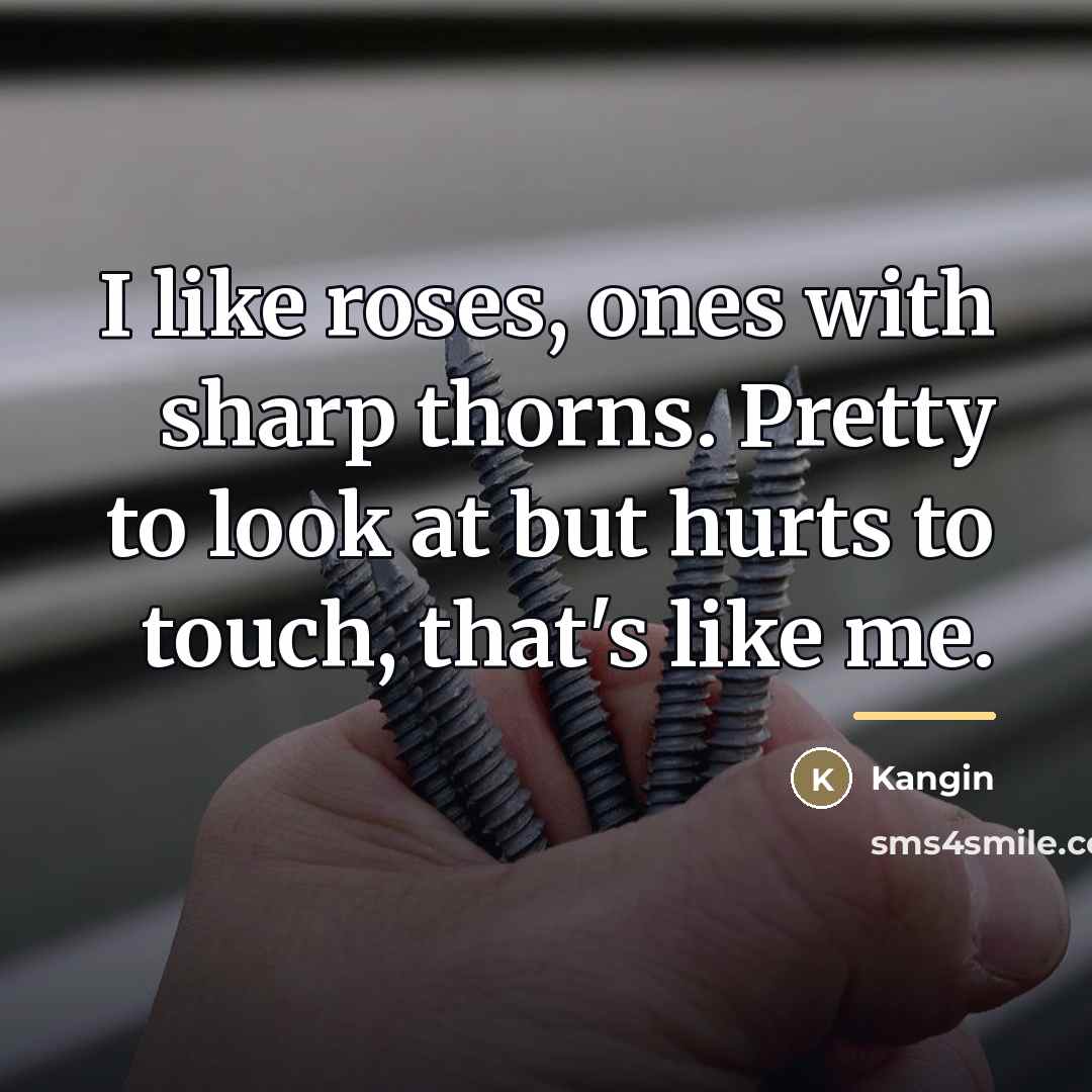 “I like roses, ones with sharp thorns. Pretty to look…” quote by Kangin