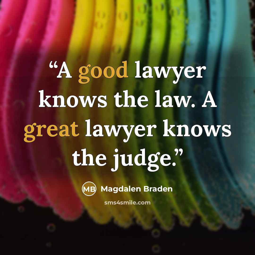 “A good lawyer knows the law. A great lawyer knows the judge.” quote by Magdalen Braden