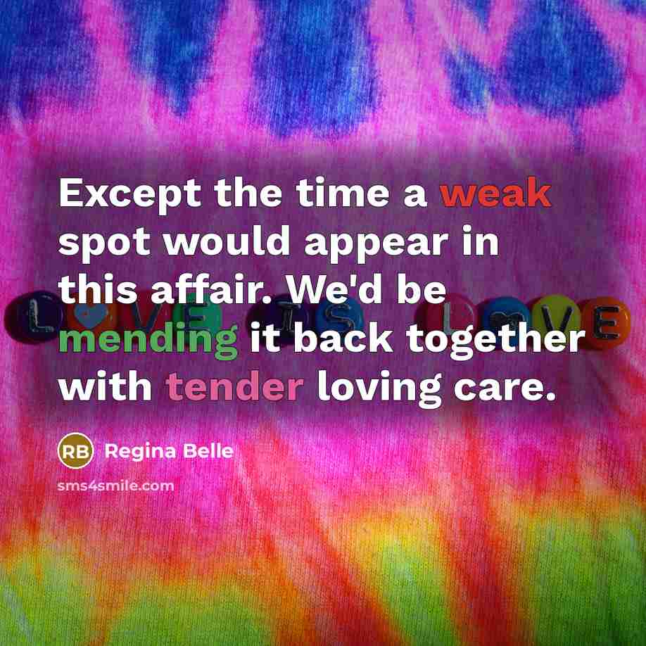 “Except the time a weak spot would appear in this affair. We'd be mending it back together with tender loving care.” quote by Regina Belle