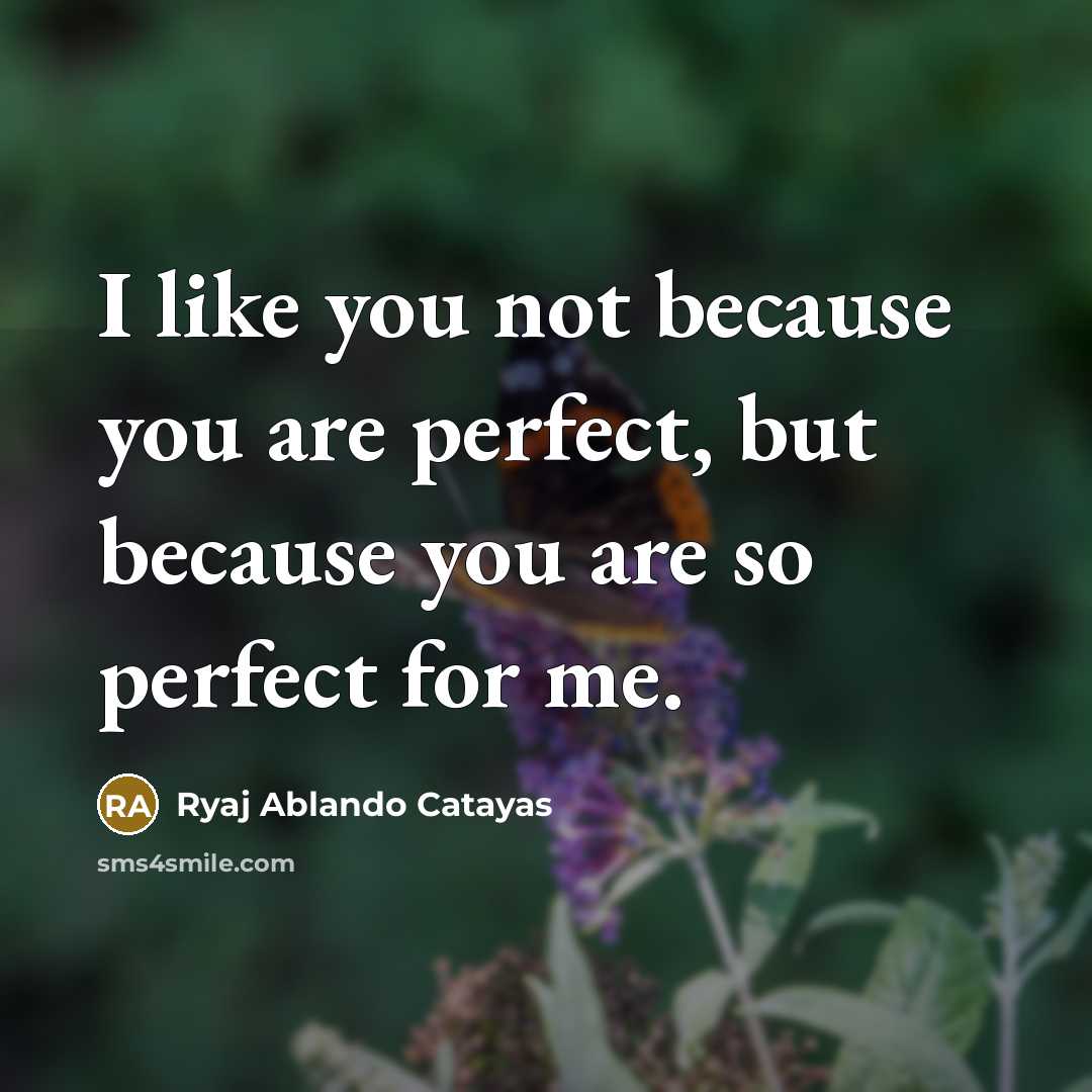 “I like you not because you are perfect, but because…” quote by Ryaj Ablando Catayas