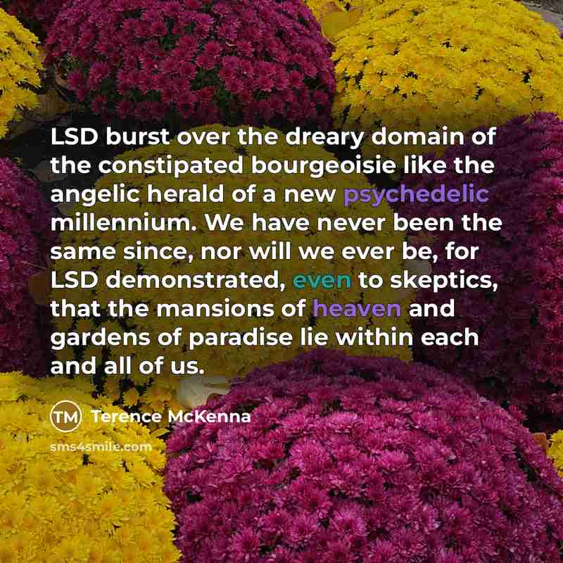 “LSD burst over the dreary domain of the constipated bourgeoisie…” quote by Terence McKenna