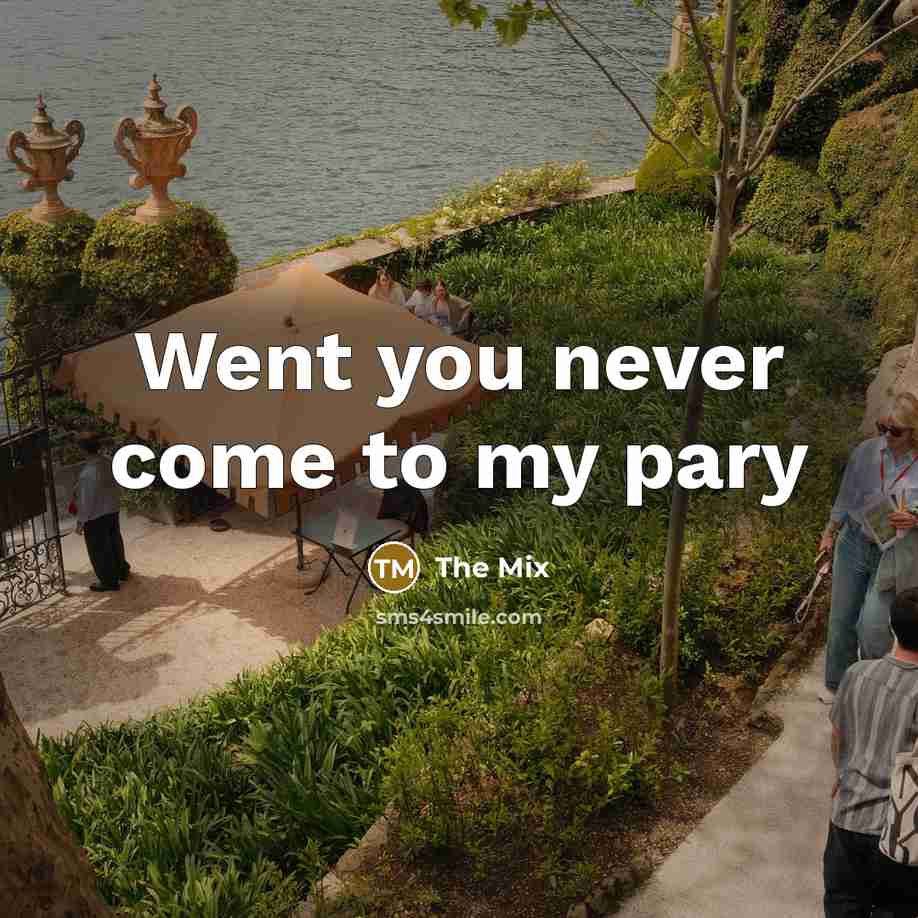 “Went you never come to my pary” quote by The Mix