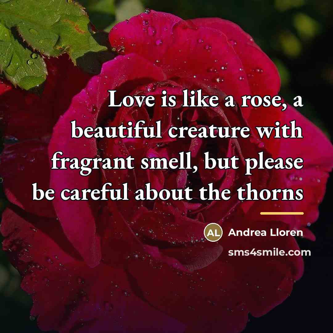 “Love is like a rose, a beautiful creature with fragrant…” quote by Andrea Lloren