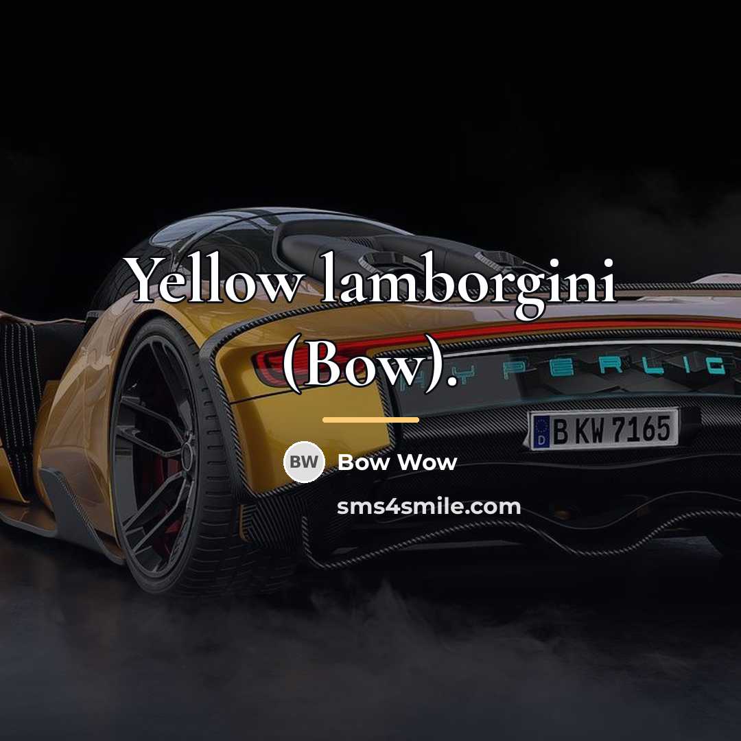 “Yellow lamborgini (Bow).…” quote by Bow Wow