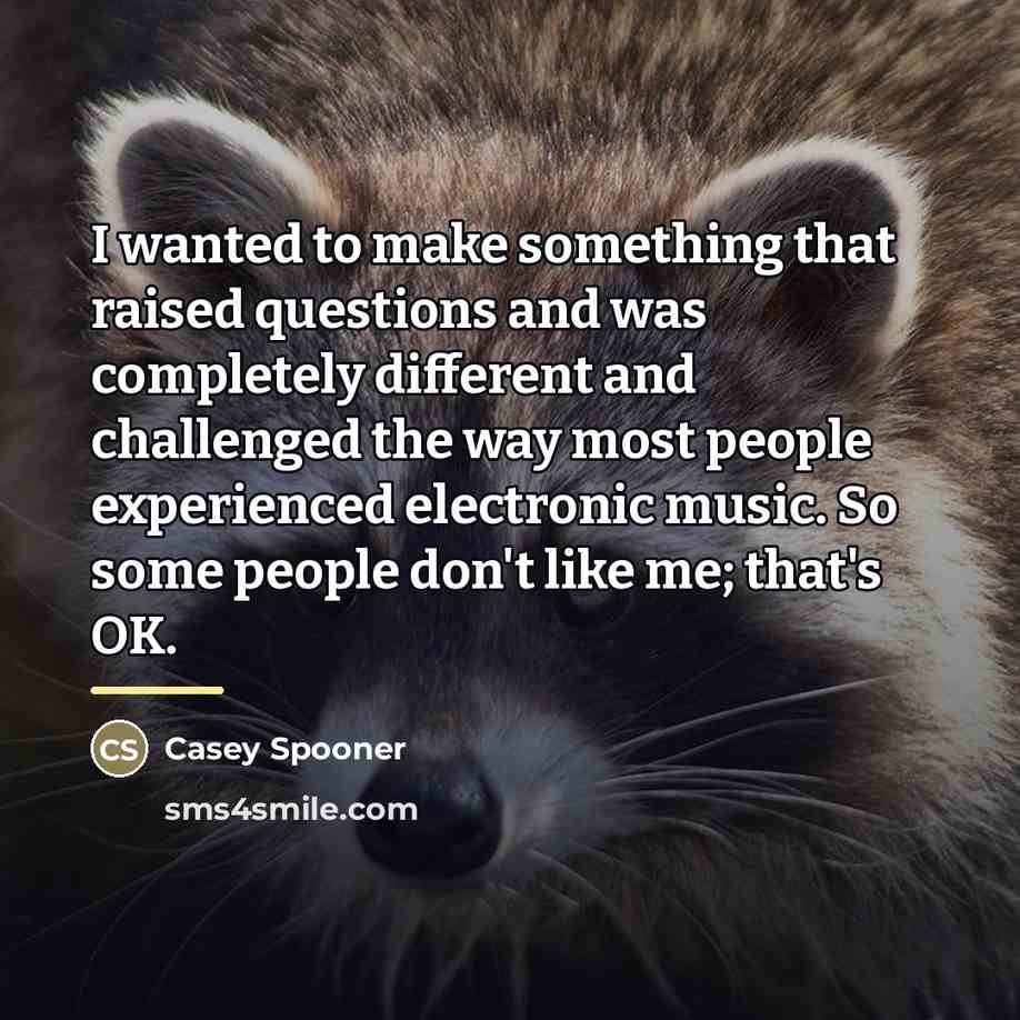 “I wanted to make something that raised questions and was…” quote by Casey Spooner