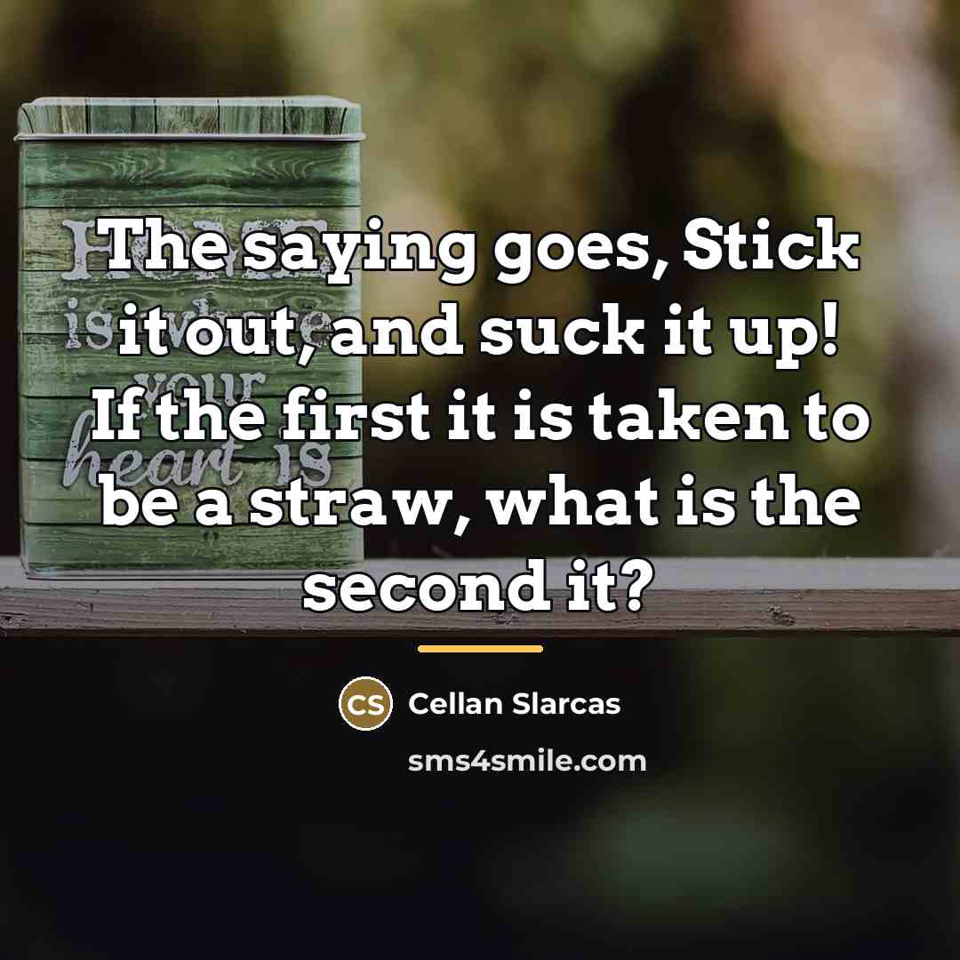 “The saying goes, Stick it out, and suck it up!…” quote by Cellan Slarcas
