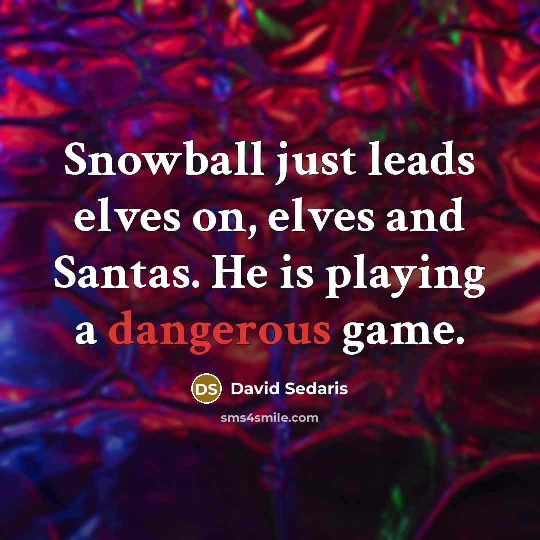“Snowball just leads elves on, elves and Santas. He is playing a dangerous game.” quote by David Sedaris